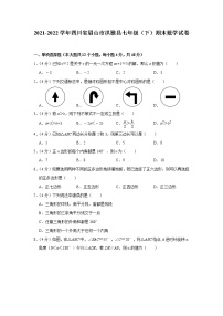 四川省眉山市洪雅县2021-2022学年七年级下学年期末数学试卷(word版含答案)