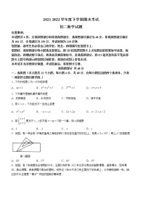 山东省济南市钢城区2021-2022学年七年级下学期期末数学试题(word版含答案)