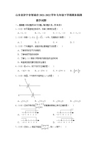 山东省济宁市邹城市2021-2022学年七年级下学期期末检测数学试题(word版含答案)