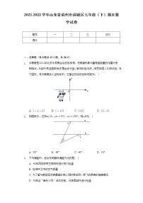 2021-2022学年山东省滨州市滨城区七年级（下）期末数学试卷（Word解析版）