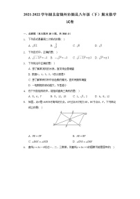 2021-2022学年湖北省随州市随县八年级（下）期末数学试卷（word版含解析）