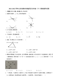 2021-2022学年山东省德州市临邑县七年级（下）期末数学试卷