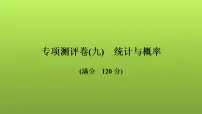 2022年中考数学人教版一轮复习讲练课件:专项测评卷(九)统计与概率