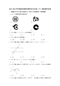 湖南省邵阳市隆回县2021-2022学年七年级下学期期末数学试卷(word版含答案)