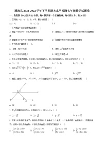 云南省玉溪市通海县2021-2022学年七年级下学期期末数学试题(word版含答案)