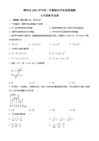 浙江省绍兴市嵊州市2021-2022学年七年级下学期期末数学试题(word版含答案)