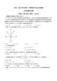 山东省聊城市莘县2021-2022学年七年级下学期期末数学试题(word版含答案)