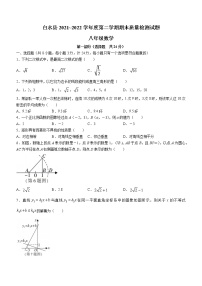 陕西省渭南市白水县2021-2022学年八年级下学期期末数学试题(word版含答案)