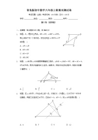 青岛版初中数学八年级上册期末测试卷（标准难度）（含答案解析）