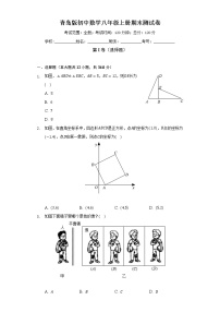 青岛版初中数学八年级上册期末测试卷（较易）（含答案解析）