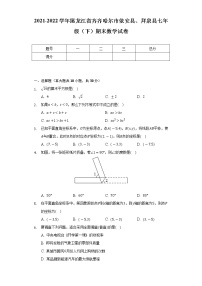 2021-2022学年黑龙江省齐齐哈尔市依安县、拜泉县七年级（下）期末数学试卷（Word解析版）