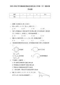 2021-2022学年湖南省娄底市新化县八年级（下）期末数学试卷（Word解析版）