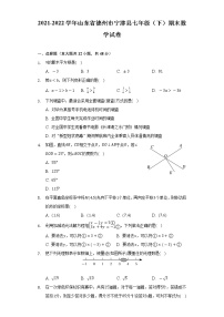 2021-2022学年山东省德州市宁津县七年级（下）期末数学试卷（Word解析版）