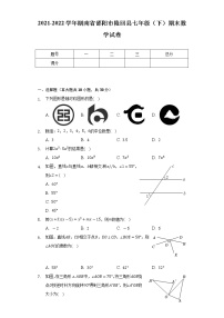 2021-2022学年湖南省邵阳市隆回县七年级（下）期末数学试卷（Word解析版）