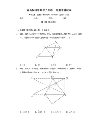 青岛版初中数学九年级上册期末测试卷（困难）（含答案解析）