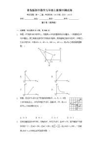 青岛版初中数学九年级上册期中测试卷（标准难度）（含答案解析）