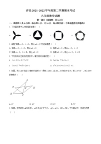 陕西省汉中市洋县2021-2022学年八年级下学期期末数学试题(word版含答案)