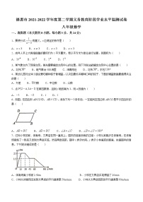 吉林省长春市德惠市2021-2022学年八年级下学期期末数学试题(word版含答案)