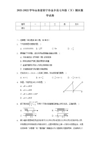 2021-2022学年山东省济宁市金乡县七年级（下）期末数学试卷（Word解析版）