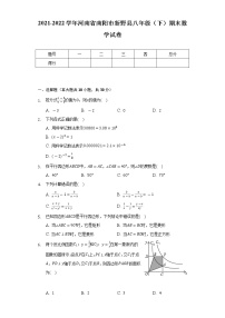 2021-2022学年河南省南阳市新野县八年级（下）期末数学试卷（Word解析版）