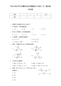 2021-2022学年安徽省安庆市桐城市七年级（下）期末数学试卷（Word解析版）