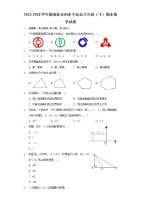 2021-2022学年湖南省永州市宁远县八年级（下）期末数学试卷（Word解析版）