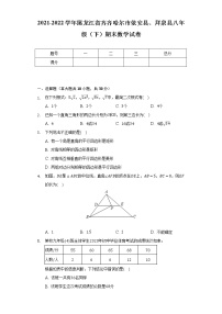 2021-2022学年黑龙江省齐齐哈尔市依安县、拜泉县八年级（下）期末数学试卷（Word解析版）