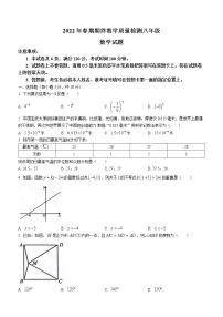 河南省南阳市唐河县2021-2022学年八年级下学期期末数学试题(word版含答案)