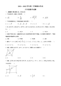 河南省安阳市林州市2021-2022学年八年级下学期期末数学试题(word版含答案)