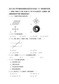 湖南省邵阳市武冈市2021-2022学年七年级下学期期末考试数学试题(word版含答案)