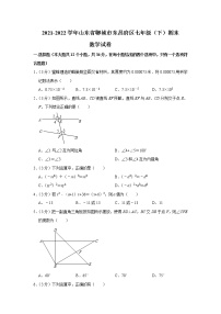 山东省聊城市东昌府区2021-2022学年七年级下学期期末考试数学试卷(word版含答案)