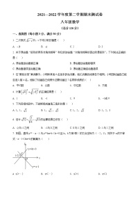 河南省商丘市永城市2021-2022学年八年级下学期期末数学试题(word版含答案)