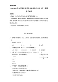 2021-2022学年河南省驻马店市确山县七年级（下）期末数学试卷（Word解析版）