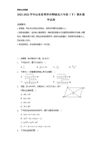 2021-2022学年山东省菏泽市鄄城县八年级（下）期末数学试卷（Word解析版）