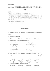2021-2022学年西藏那曲市聂荣县七年级（下）期中数学试卷（Word解析版）