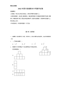 2022年四川省绵阳市中考数学试卷（Word解析版）