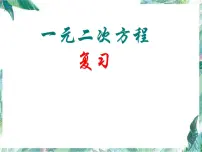 人教版九年级数学上册课件:第二十一章 一元二次方程复习