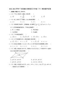 广东省湛江市麻章区2021-2022学年八年级下学期期末考试数学试题(word版含答案)