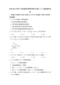 广东省深圳外国语学校2020-2021学年九年级上学期期末数学试卷(word版含答案)