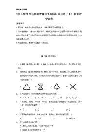 2021-2022学年湖南省株洲市荷塘区八年级（下）期末数学试卷-（Word解析版）