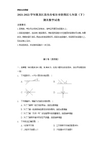 2021-2022学年黑龙江省齐齐哈尔市铁锋区七年级（下）期末数学试卷（Word解析版）