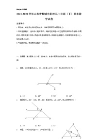 2021-2022学年山东省聊城市阳谷县七年级（下）期末数学试卷（Word解析版）