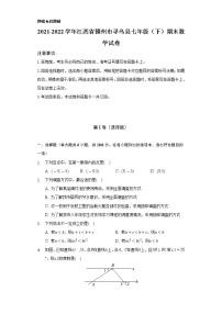 2021-2022学年江西省赣州市寻乌县七年级（下）期末数学试卷（Word解析版）