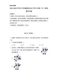 2021-2022学年辽宁省盘锦市双台子区七年级（下）期末数学试卷（Word解析版）