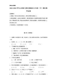 2021-2022学年云南省玉溪市通海县七年级（下）期末数学试卷（Word解析版）