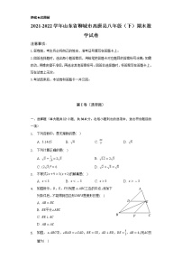 2021-2022学年山东省聊城市高唐县八年级（下）期末数学试卷（Word解析版）