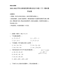 2021-2022学年吉林省松原市乾安县八年级（下）期末数学试卷（Word解析版）