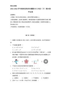 2021-2022学年湖南省株洲市醴陵市七年级（下）期末数学试卷（Word解析版）