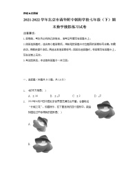 2021-2022学年北京市清华附中朝阳学校七年级（下）期末数学模拟练习试卷（Word解析版）