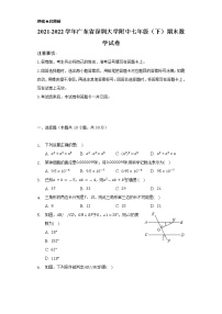 2021-2022学年广东省深圳大学附中七年级（下）期末数学试卷（Word解析版）